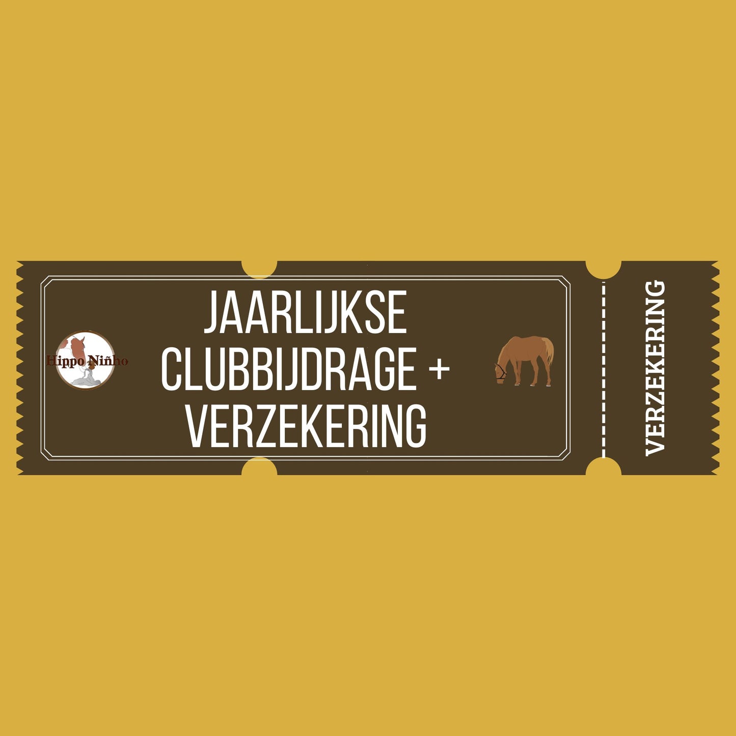 Jaarlijkse clubbijdrage + verzekering 2025