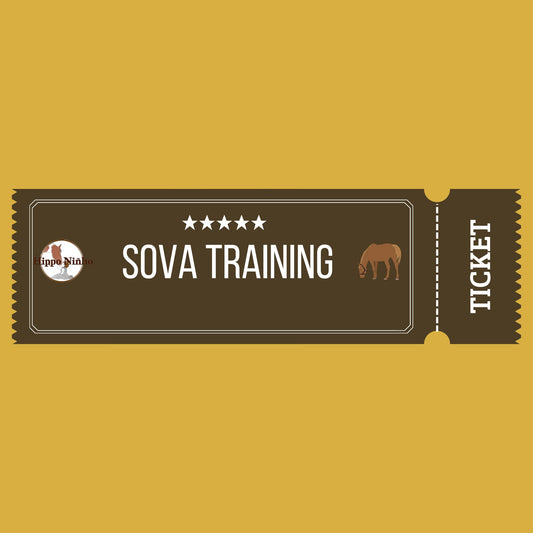 SoVa Trainingen